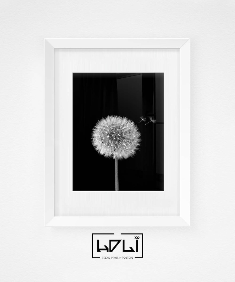 Dandelion Wall Art Prints, Black and White Prints, Scandinavian, Modern Minimalist Art, Dandelion Print, Modern Wall Decor, Digital Download image 6