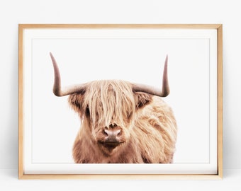 Highland Cow Art, Living Room Wall Art Print, Rustic Farmhouse Decor Peach Blush Pink Bohemian Bedroom Printable, Large Art Poster Above Bed