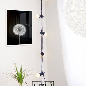 Dandelion Wall Art Prints, Black and White Prints, Scandinavian, Modern Minimalist Art, Dandelion Print, Modern Wall Decor, Digital Download image 8