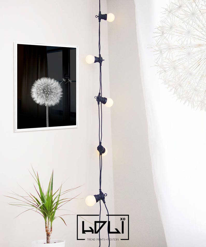 Dandelion Wall Art Prints, Black and White Prints, Scandinavian, Modern Minimalist Art, Dandelion Print, Modern Wall Decor, Digital Download image 8