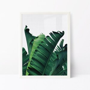 Tropical Leaf Print Sheet Set
