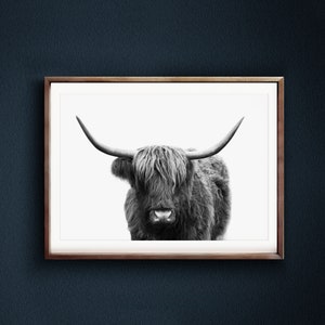 Impressão de vaca das Terras Altas, decoração de parede de fazenda, decoração de parede de cozinha moderna, pôster preto e branco para sala de estar rústica, arte de parede de vaca grande para impressão imagem 6
