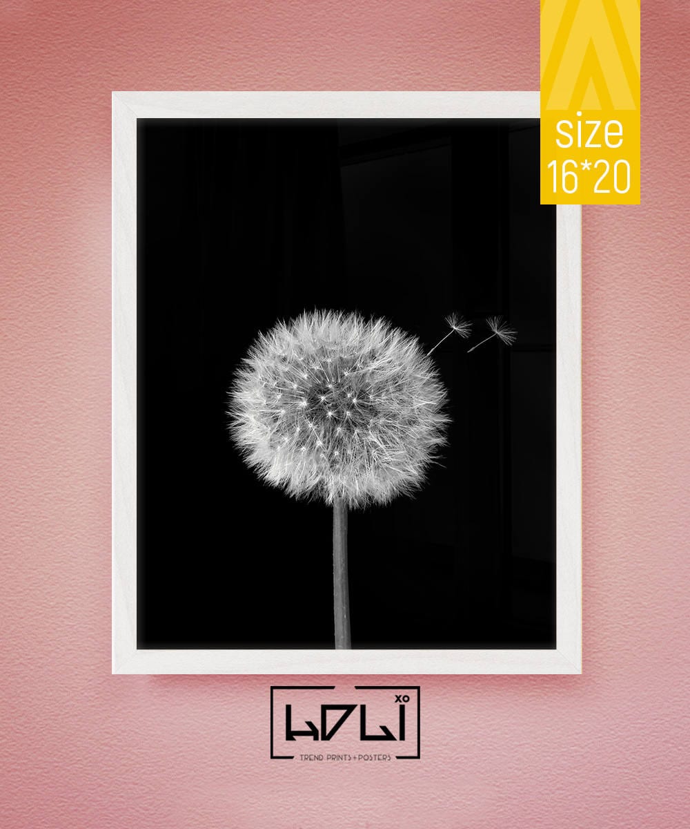 Daisy Line Drawing Print – Minimalist Botanical Wall Art – Hello Cando