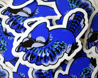 Autocollant Geai bleu, Passereau, Art d'oiseau chanteur, Autocollant oiseau chanteur, Autocollant oiseau, Oiseau mignon, Autocollant faune, Autocollant nature, Observateur d'oiseaux