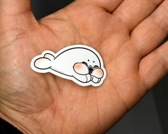 Cute Baby Seal Sticker, Ocean Beach Life Sticker, Cute Kawaii Sticker Stationary, Marine Biologist Gift, Ocean Lover Gift, Chubby Animal