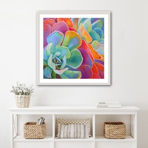 May include: Close-up of a vibrant succulent with overlapping layers of petals in shades of pink, orange, green, and blue.