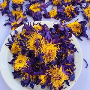 Real Blue Lotus Flowers • Nymphaea caerulea • Blue Water Lily • Organic • Dried • Hand Picked • 4oz