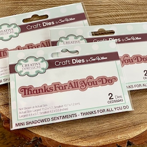 May include: Two packages of die-cut craft dies for scrapbooking and card making. The dies are for the phrase "Thanks For All You Do". The packages are white with pink and brown accents. The largest die measures 4.4 inches by 0.7 inches.