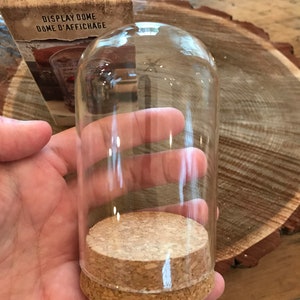 May include: A clear glass display dome with a cork base. The dome is approximately 6 inches tall and 4 inches wide. The dome is perfect for displaying small objects, such as figurines, jewelry, or other collectibles.