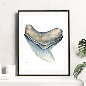 Tiger Shark Tooth Print, Shark tooth art, Shark tooth print, Shark teeth wall art, Beach house decor, Marine biology gift, shark tooth gift