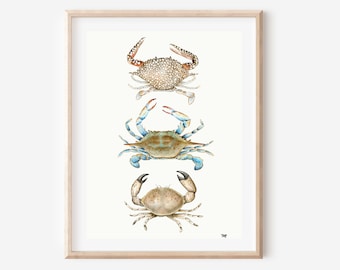 Crab Watercolor Print, Blue Crab painting, Stone crab wall art, Beach painting, Beach house decor, Crustaceancore wall art, Crab watercolor