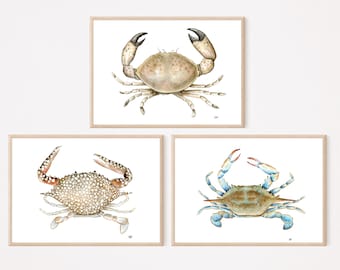 Watercolor Crab Print Set of 3, Crab Print bundle, Blue Crab painting, Crab watercolor wall art, Coastal art, crustaceancore wall art