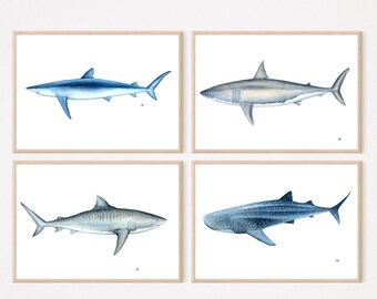 Shark Watercolor Prints, Set of 4 Prints, Print Bundle, Shark print, shark wall art, Ocean Animal Print set for Nursery, Beach Print
