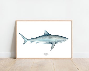 Tiger Shark Print, Shark watercolor print, shark watercolor painting, Ocean life watercolor,Nursery animal art, seacoastal print ocean