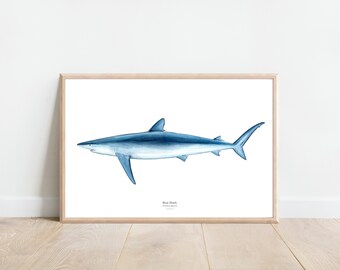 Blue Shark Print, Shark watercolor print,shark watercolor painting, Ocean life watercolor,Nursery animal art, Marine biology print