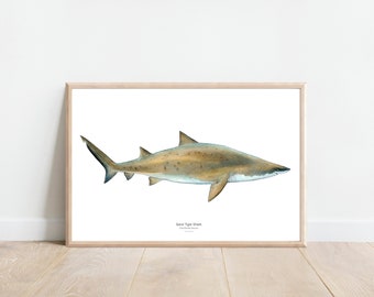 Sandtiger Shark Print, Shark watercolor print,shark watercolor painting, Ocean life watercolor,Nursery animal art, Marine biology print
