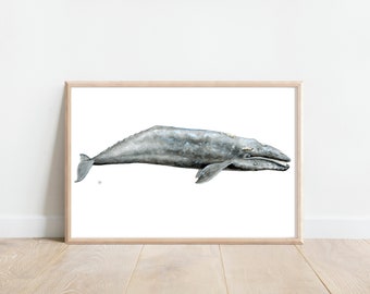 Grey Whale Watercolor Print, Giclee Print, Whale print, Whale wall art, Watercolor whale painting, Nursery animal print, Marine biology gift