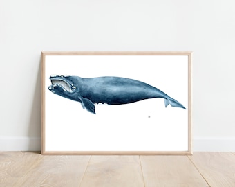 Right Whale Watercolor, Right whale Print, whale print, whale wall art, Nursery Ocean Animal Prints, Beach Print, Whale wall art