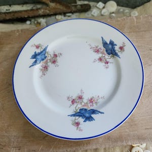 May include: White ceramic plate with a blue rim and three bluebird illustrations surrounded by pink floral branches. The plate has a classic design, suitable for serving food or as a decorative piece. The plate's diameter is approximately 9 inches.