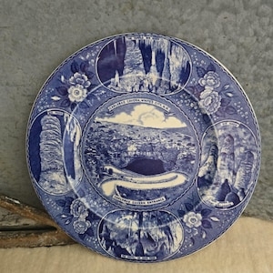 May include: A blue and white decorative plate featuring images of Carlsbad Caverns, Whites City, NM. The plate has a floral border and includes text such as "Carlsbad Cavern Entrance" and "The Chapel in Dome Room."