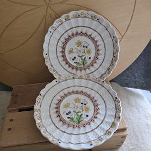 May include: Two white ceramic plates with scalloped edges. Each plate features a central floral design with yellow and blue flowers, surrounded by a brown and gold border. The plates rest on a wooden surface.