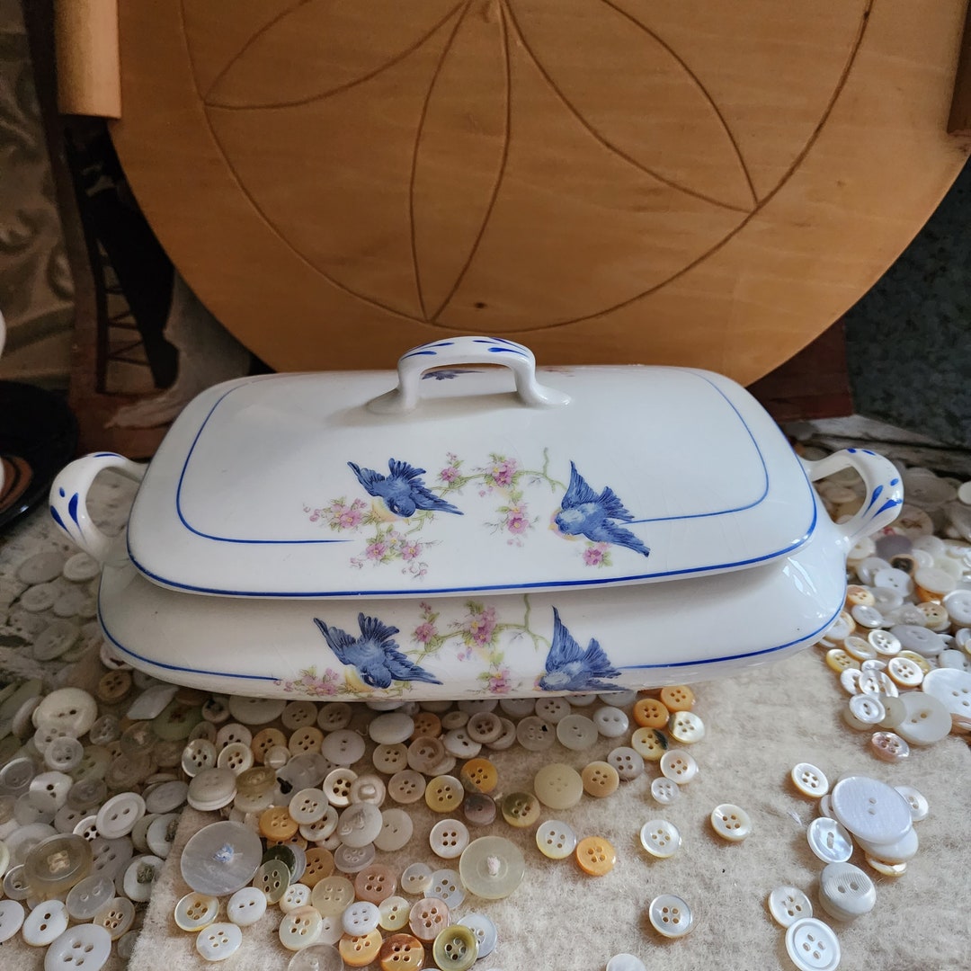 Bluebird / Bluebird Dishes / Carrollton / Bluebird Tureen / Vintage