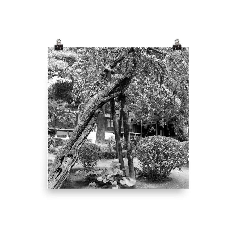 Japanese Garden Wall Art Asian Decor Monochrome Poster Etsy