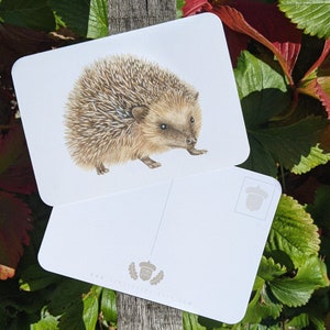 Shadow The Hedgehog  Postcard for Sale by AlbertAmways