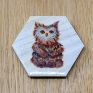 Dungeon Companions Baby Owlbear Hexagon ceramic tile magnet, DnD magnet, DM GM gift, gifts for him, animal magnet, cute magnet