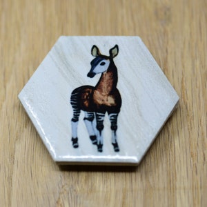 Sweet Okapi animal hexagon ceramic tile magnet