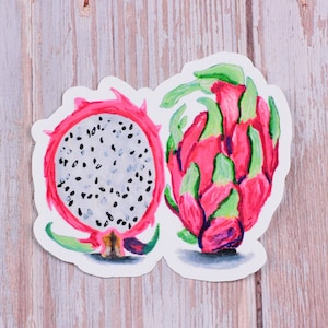 Autocollant vinyle rose fruit du dragon, décalcomanie de fruits exotiques, étiquette de cahier brillante imperméable à l'eau pour bouteille d'eau tropicale, découpe avec découpe pour ordinateur portable brillant journal