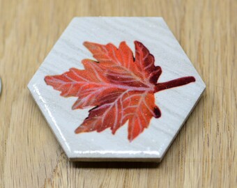 Red and orange autumn leaf hexagon ceramic tile magnet