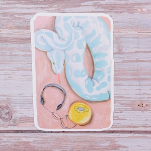 May include: A sticker featuring a light blue snake with a yellow compact disc and black headphones on a pink background.
