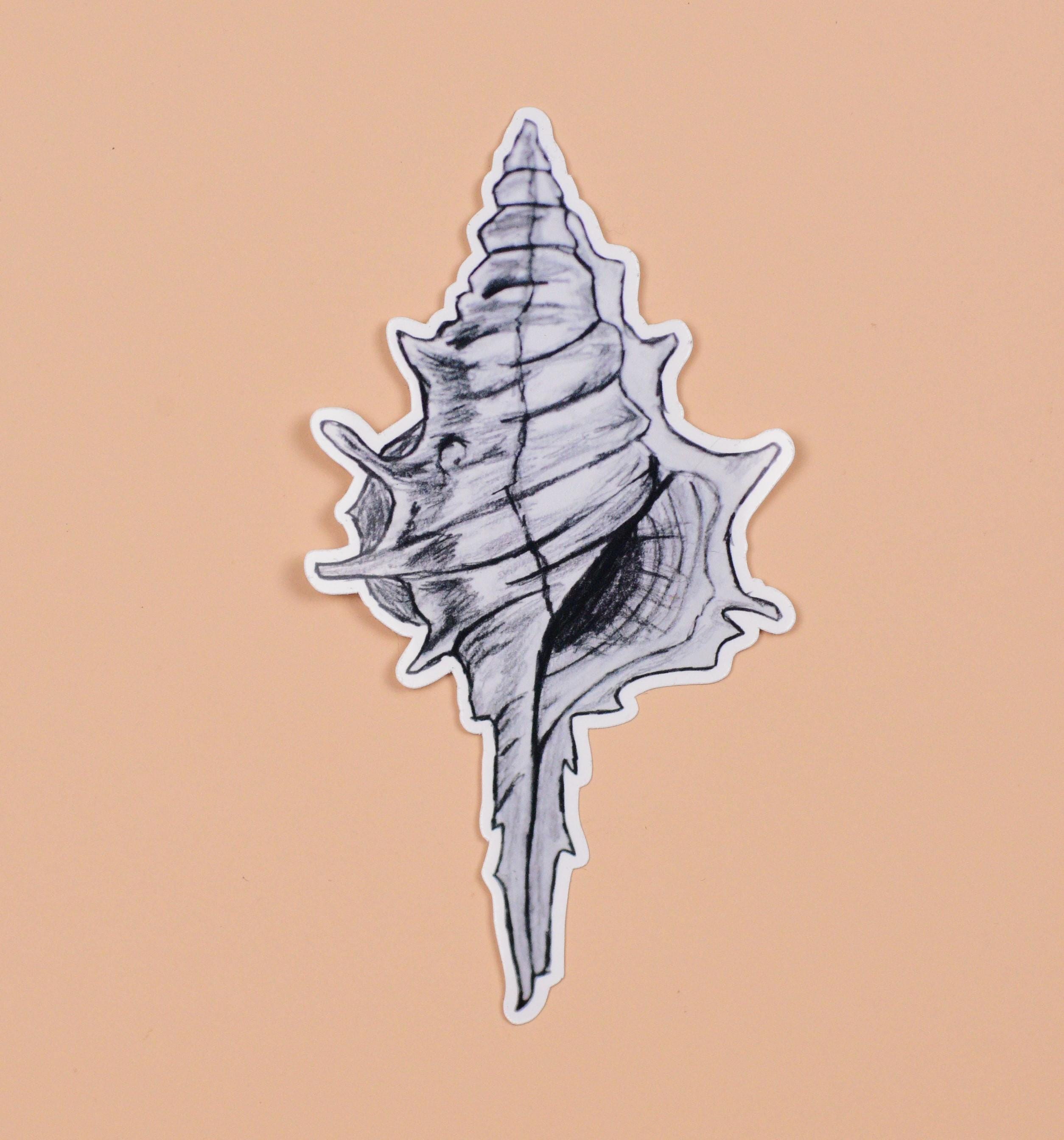Spiky Conch Seashell Vinyl Sticker, Beach Summer Laptop Decal, Ocean ...