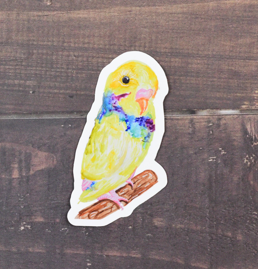 Budgie Bird Vinyl Sticker, Birb Pet Animal Parakeet Laptop Decal ...