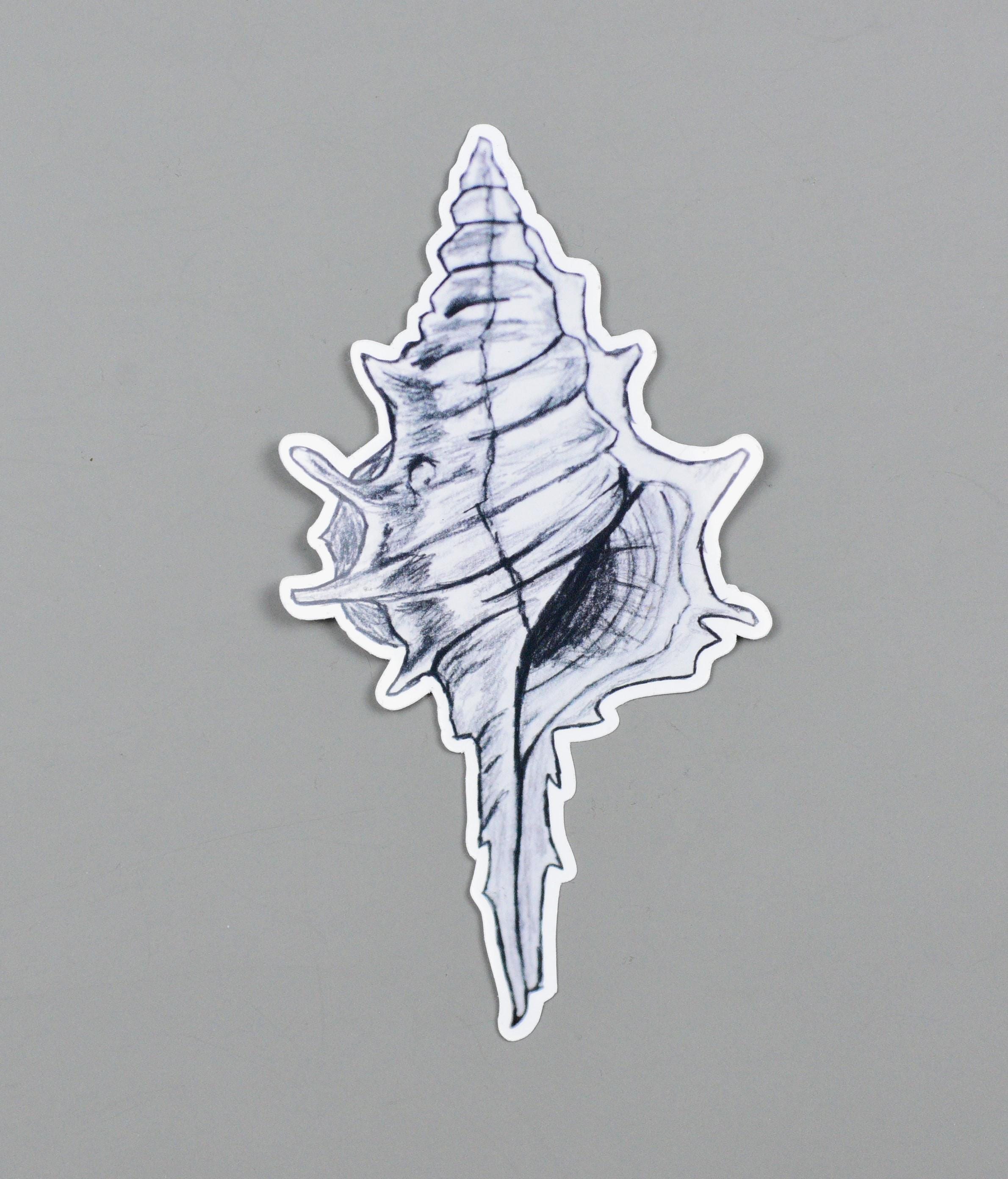 Spiky Conch Seashell Vinyl Sticker, Beach Summer Laptop Decal, Ocean ...