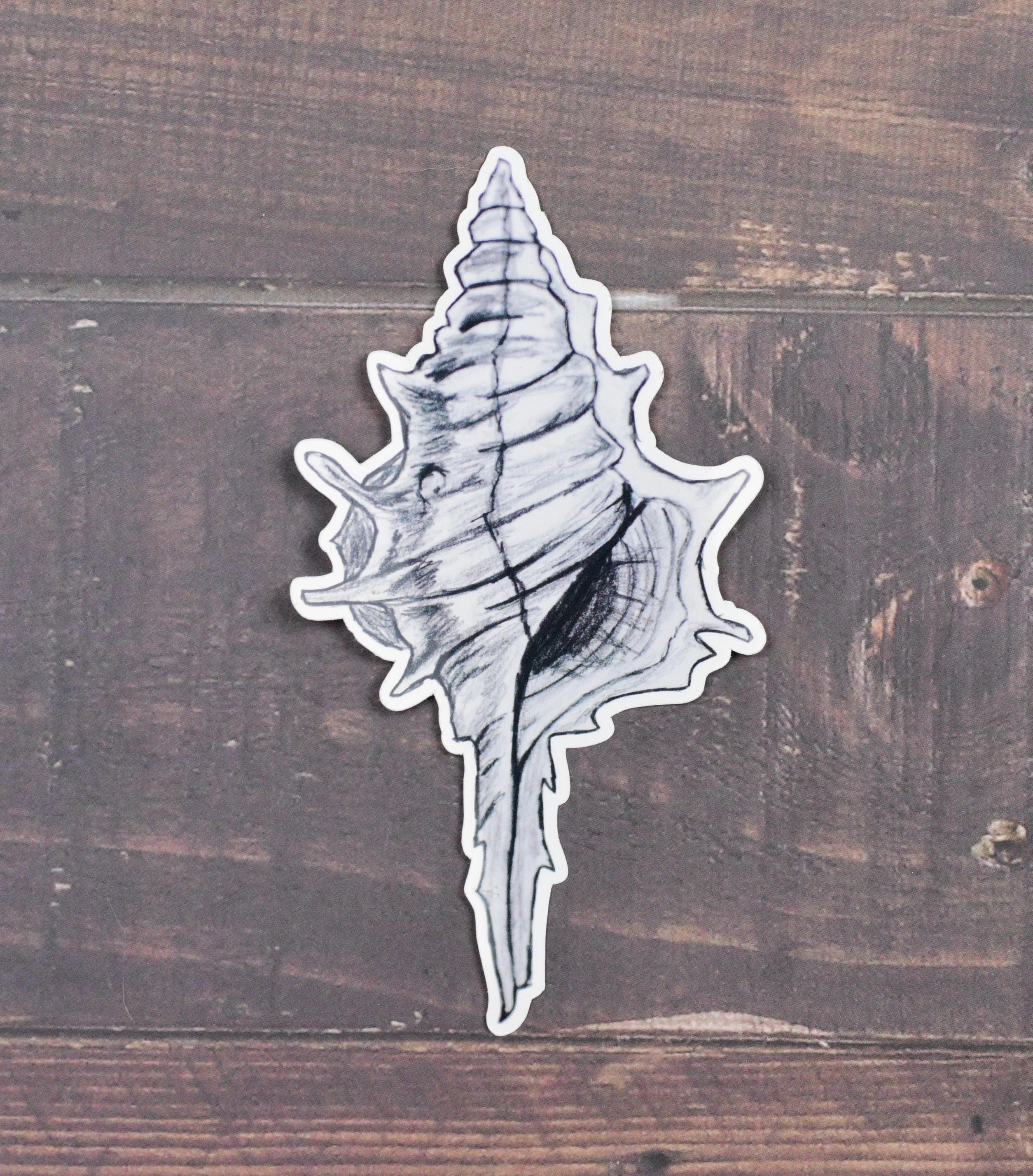 Spiky Conch Seashell Vinyl Sticker, Beach Summer Laptop Decal, Ocean ...