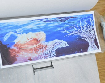Fancy walrus swimming bookmark, wildlife animal page holder with tassel, book accessory