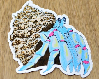 Loyal blue hermit crab vinyl sticker, sea creature sticker, pet sticker, aquatic animal sticker, crustacean sticker,