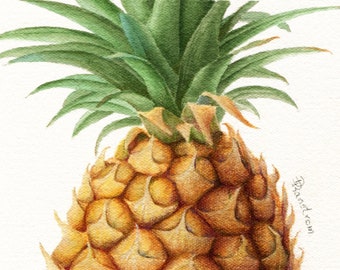 Modern Pineapple Art, Original Ink & Pencil Drawing, Hawaiian Decor, Coastal Beach Home, Housewarming gift, Hawaii Tropical Fruit