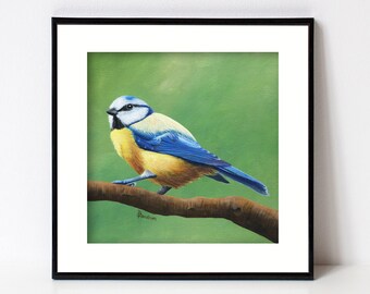 Blue Titmouse Bird Print, Bird Art, Fine Art Giclee, Square Artwork for Farmhouse Decor, Forest Animal, Birds, Songbird