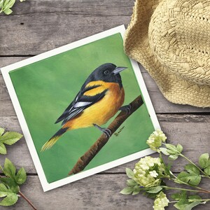 Oriole Bird Print, Bird Art, Fine Art Giclee, Square Artwork for Farmhouse Decor, Forest Animal, Birds, Songbird, Baltimore Oriole image 3