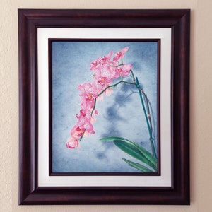 Orchid Drawing, Colored Pencil Wall Art, Botanical Illustration, Framed Artwork, Gift for Her, Housewarming Gift image 2