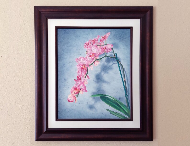 Orchid Drawing, Colored Pencil Wall Art, Botanical Illustration, Framed Artwork, Gift for Her, Housewarming Gift image 2