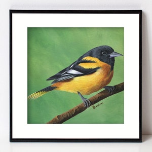 Oriole Bird Print, Bird Art, Fine Art Giclee, Square Artwork for Farmhouse Decor, Forest Animal, Birds, Songbird, Baltimore Oriole image 1