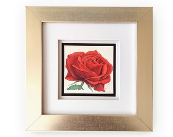 Red Rose Original Watercolor Painting, Floral Wall Decor, Gift for Her, Anniversary Gift