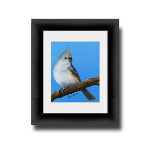 Tufted Titmouse Print, Giclee, Songbird Wall Art, Bird Farmhouse Decor, Housewarming Gift Ideas, Fine Artwork en varios tamaños