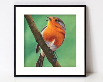 Robin Print, Bird Art, Fine Art Giclee, Square Artwork for Farmhouse Decor, Forest Animal, Birds, European Robin