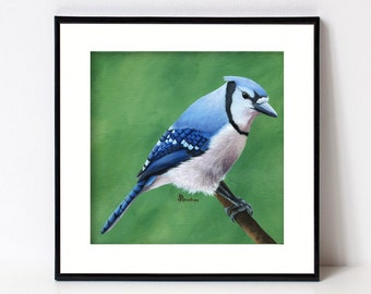 Blue Jay Print, Bird Art, Fine Art Giclee, Square Artwork for Farmhouse Decor, Forest Animal, Birds, Songbird