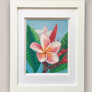 Plumeria Drawing, Hawaiian Decor, Botanical Art, Floral Colored Pencil, Tropical Wall Decor, Coastal Decor, Beach Wall Art